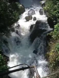 沪江开心词场